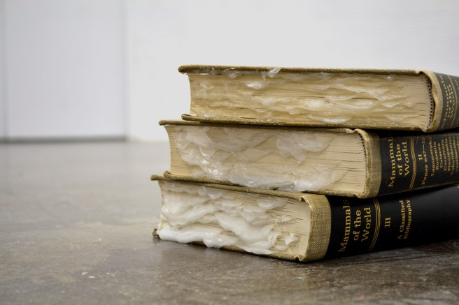 1-tamara-richardson_secreting-volumes_2015